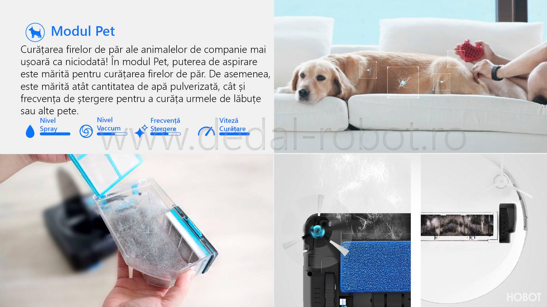 Dedal Robot