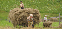 My Romania