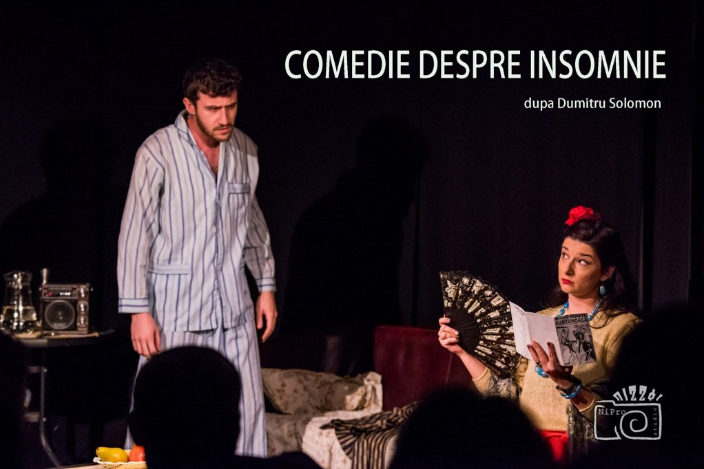 "O comedie despre insomnie"