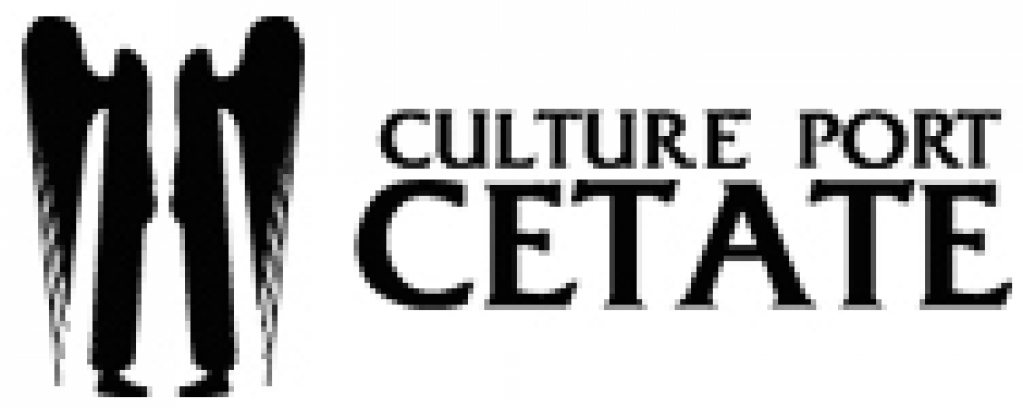 Portul Cultural Cetate