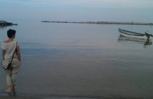 Descriere acestblogdenervi