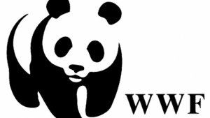 Despre WWF