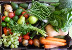 5 reguli de aur, in vederea unei nutritii optime!