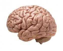 Pasi simpli spre obtinerea unui coeficient de inteligenta (IQ) imbunatatit