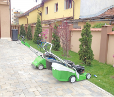 Pomi pentru amenajarea spatiului verde