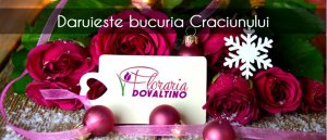 Floraria Dovaltino