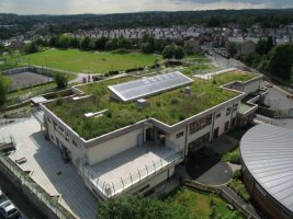 Milcuon.ro - Hidroizolatii terase verzi pentru infrumusetarea sigurantei tale