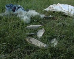Depistați la pescuit, cu unelte interzise