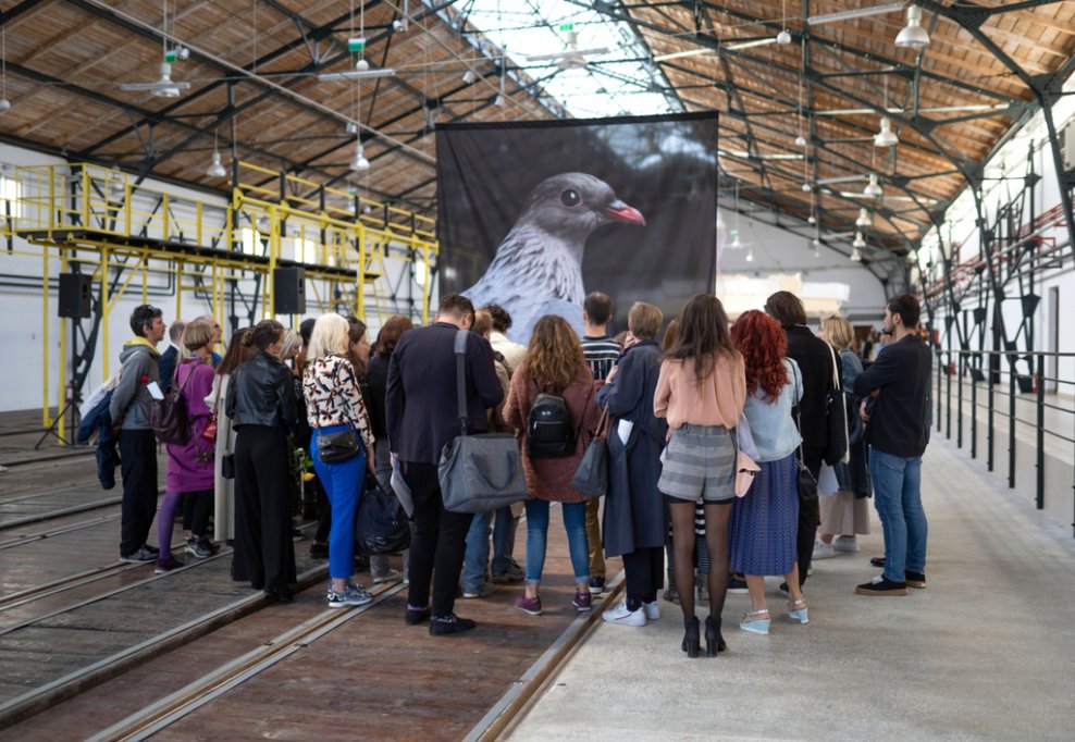 Bienala Art Encounters 2019 a ajuns la final