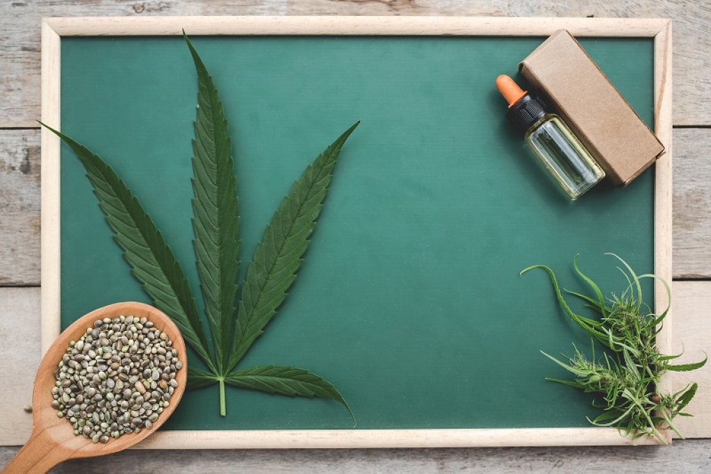 De ce sa consumi seminte de cannabis? Iata care sunt cele mai importante beneficii