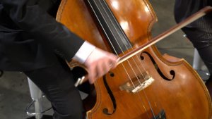 Cum să devii un muzician de succes