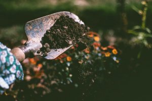 Care sunt cele mai folosite unelte de grădină