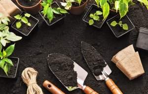 Produse care te pot ajuta sa ai mereu o gradina ingrijita