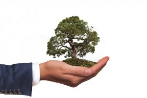 De ce Ambalajele Compostabile sunt cea mai Eco-Friendly soluție