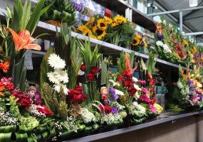 Buchete speciale de flori pentru persoanele pe care le iubești cel mai mult
