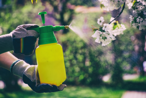 Ce este insecticidul Karate Zeon și ce caracteristici are?