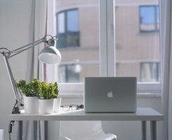 Avantajul plantelor artificiale pentru amenajările interioare
