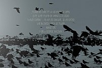 Expoziția „I-auzi corbii” semnată Ovidiu Ungureanu