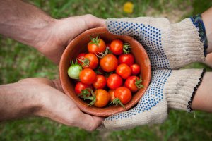 Importanța consumului de alimente bio