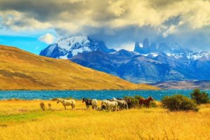 TOP 5 locuri din America de Sud pe care orice milionar trebuie să le viziteze