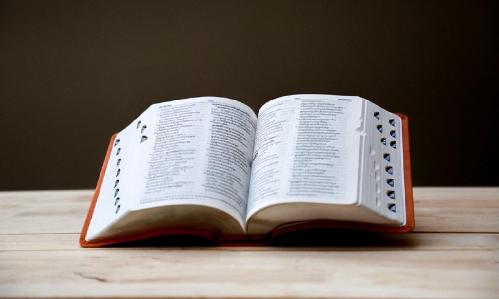 Cum se explica prezenta cuvintelor de origine franceza in dictionarul romanesc