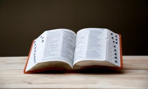 Cum se explica prezenta cuvintelor de origine franceza in dictionarul romanesc