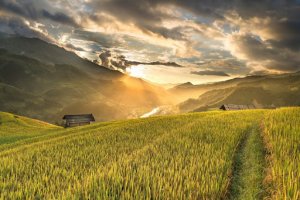 Recomandări practice pentru cei care vor să înceapă o afacere în domeniul agriculturii