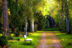 Servicii funerare in Craiova - organizari inmormantari complete