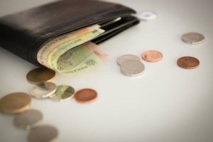 Cum este si cum va fi afectat Leul din cauza razboiului din Ucraina