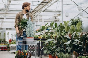 7 produse pe care să le ai la vânzare într-un magazin cu articole de gradină