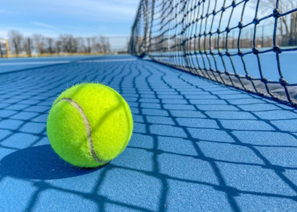 Cum alegi plasa potrivită pentru un teren de sport?