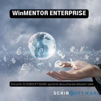 Optimizarea cash-flow-ului in companie cu ajutorul sistemului WinMentor Enterprise