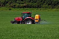 Cum influențează utilizarea insecticidelor produsele agricole și consumul lor?