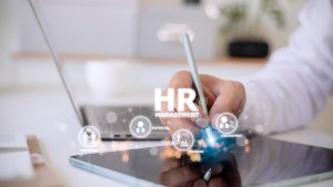 Cum te ajută un HR software să crești performanța organizațională