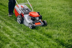 Transformă-ți spațiul într-un paradis verde optând pentru serviciile de amenajare grădini Alba