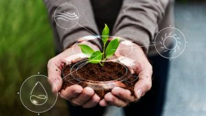 Investiții strategice în agricultură: cum pot ajuta creditele dezvoltarea fermei tale