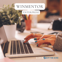 Automatizarea unei afaceri cu WinMentor Enterprise: avantaje și dezavantaje