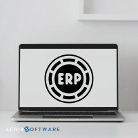 Tendințe actuale în dezvoltarea și utilizarea soluțiilor ERP