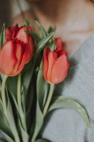 Descopera eleganta florilor de primavara: o simfonie colorata a naturii