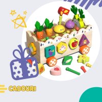 Caratoys.ro - destinația perfectă pentru cadouri memorabile pentru toate vârstele!