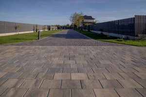 Transformă-ți curtea într-un paradis verde: 5 idei de amenajare a aleilor