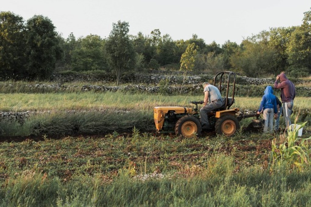 Descoperă avantajele utilizării unui motocultor în agricultura moderna