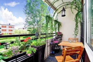 Oază de verdeață pe balcon: grădina ta urbană perfectă