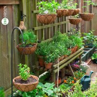 Transformă-ți grădina cu produse de calitate superioară de la RoaGarden.ro - garanția sănătății plantelor!