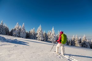 De la relaxare la aventură: activități de agrement și turism în Cluj