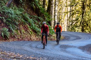 Ce tip de bicicletă șosea ți se potrivește?