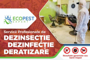 Știai că poți scăpa rapid de ploșnițe și alți dăunători? Servicii DDD ECOPEST EXPERT te ajută!