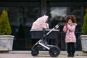 Este cu adevărat util un cărucior 3 în 1? O analiză pentru părinți care vor să aleagă corect