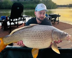 Method feeder: tehnica de pescuit care a cucerit pescarii din România