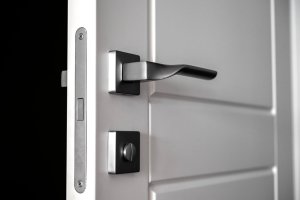 Cum alegi o broasca pentru usa: tipuri, montaj si recomandari utile